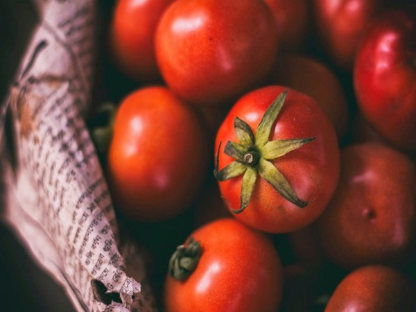 How I Started My Tomatoes Business with Minimal Income: A Step-by-Step Guide