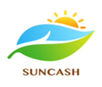 SunCash Credit Loan - Loan Shark Review