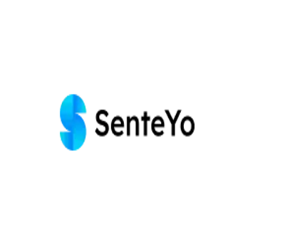 SenteYo - Loan Shark Review