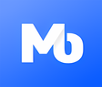 Mo Loan - Loan Shark Review